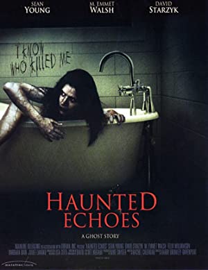 Haunted Echoes (2008) starring Sean Young on DVD on DVD